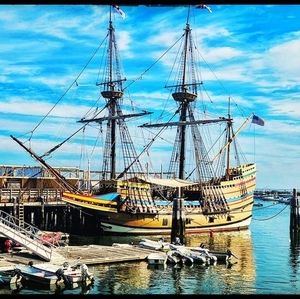 Meet your Posher, Bruce